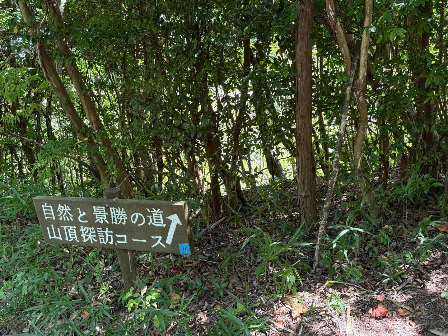 ここを見落として戻ってきた
暑さで冷静に判断できん〔判断できんのは暑さのせいだけじゃない）