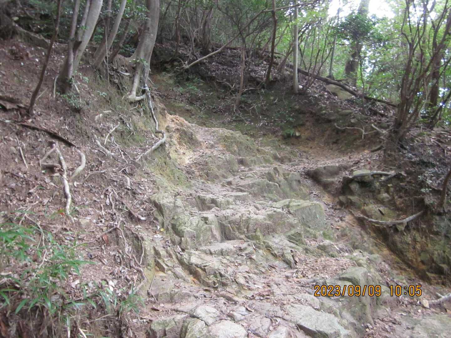 新神戸駅-滝山城跡登山口-摩耶山青谷道登山口 縦走コースの写真