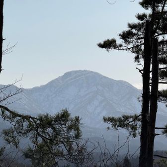 白さ〜ん‼️
ハクション大魔王ではありません笑
分かるかな？