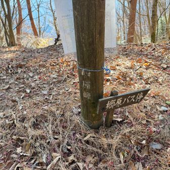 西原峠（1,159m）、数馬バス停と郷原バス停方面への四辻。