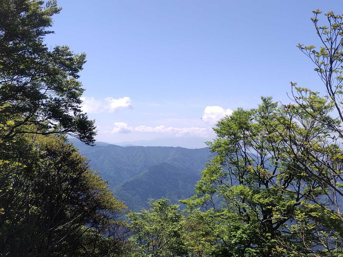 山頂からの眺めは少しだけ✨
でもブナに囲まれて明るく広いスペースで、日陰もあるし休憩にいいところでした😊👍