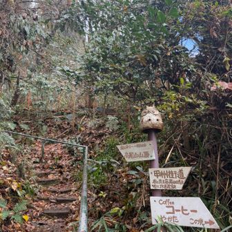 振り返ると、ほのぼの道標😊