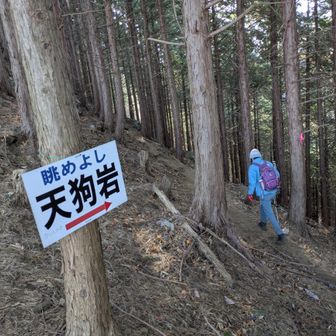 天狗岩の眺めはよいらしい