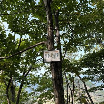 下りは、先ほどと逆のルートへ