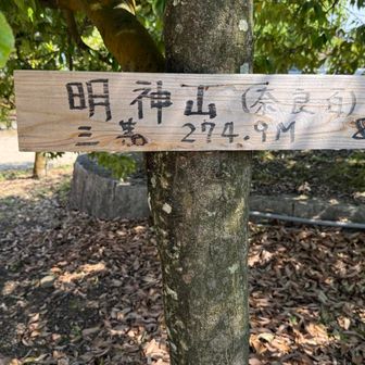 この下のコンクリート内に三角点があるらしい