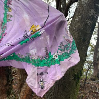 剣山山頂ヒュッテのバンダナ落ちてましたよー！
ココに縛っておきます