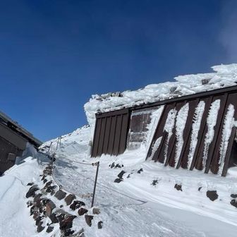 この画像は寒そうだ😆