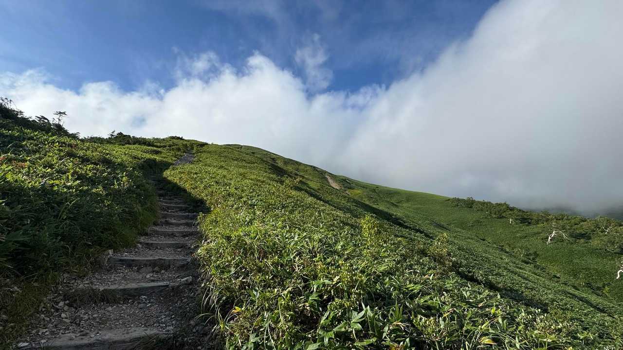 谷川岳主脈縦走（平標山・仙ノ倉山・万太郎山・谷川岳） の写真 17