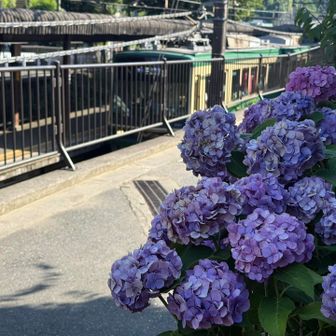 極楽寺駅