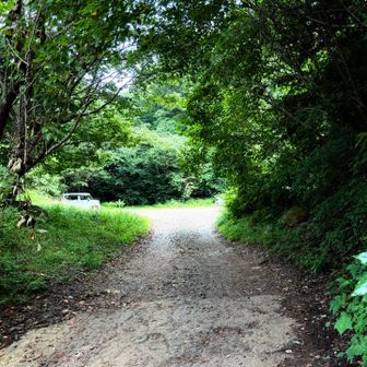 ユース跡地の駐車場は空いています。
ここからの筑波山登山は一番緩いです。