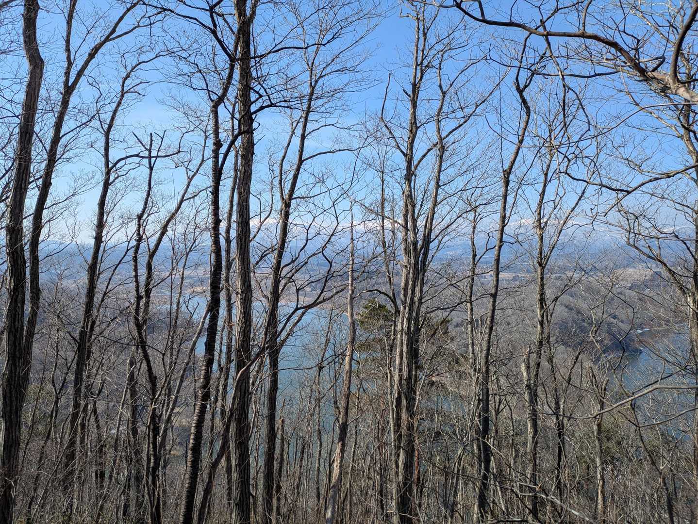 木々の間からみやぎ蔵王🏔️の景色を見ながら♬