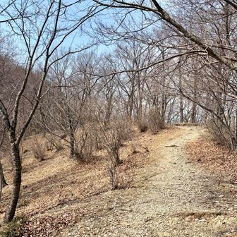 丸山に向けて活動開始
軽く登ると