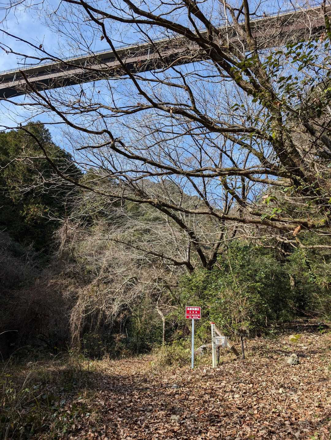 城山登山口-筑紫神社-城山 周回コースの写真