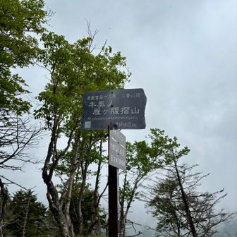 山頂へ到着。