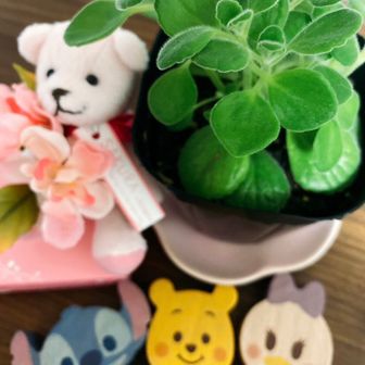 さっちん(*´˘`*)♡