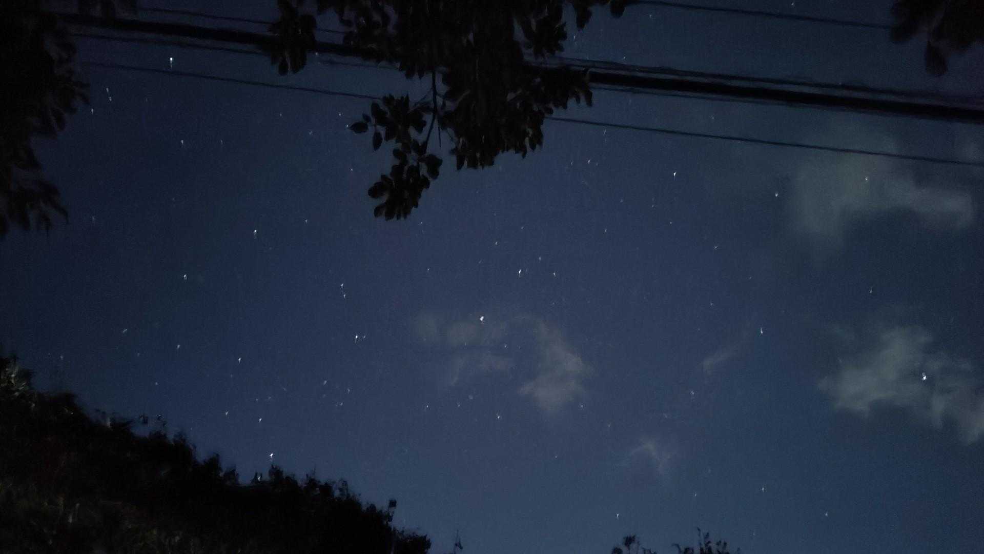 空を見上げると星が見えます
よく晴れてます