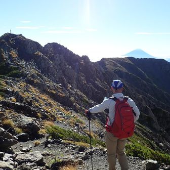 西農鳥岳の山頂が視界に