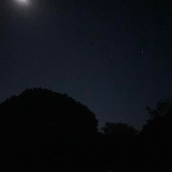 久々に星座見た