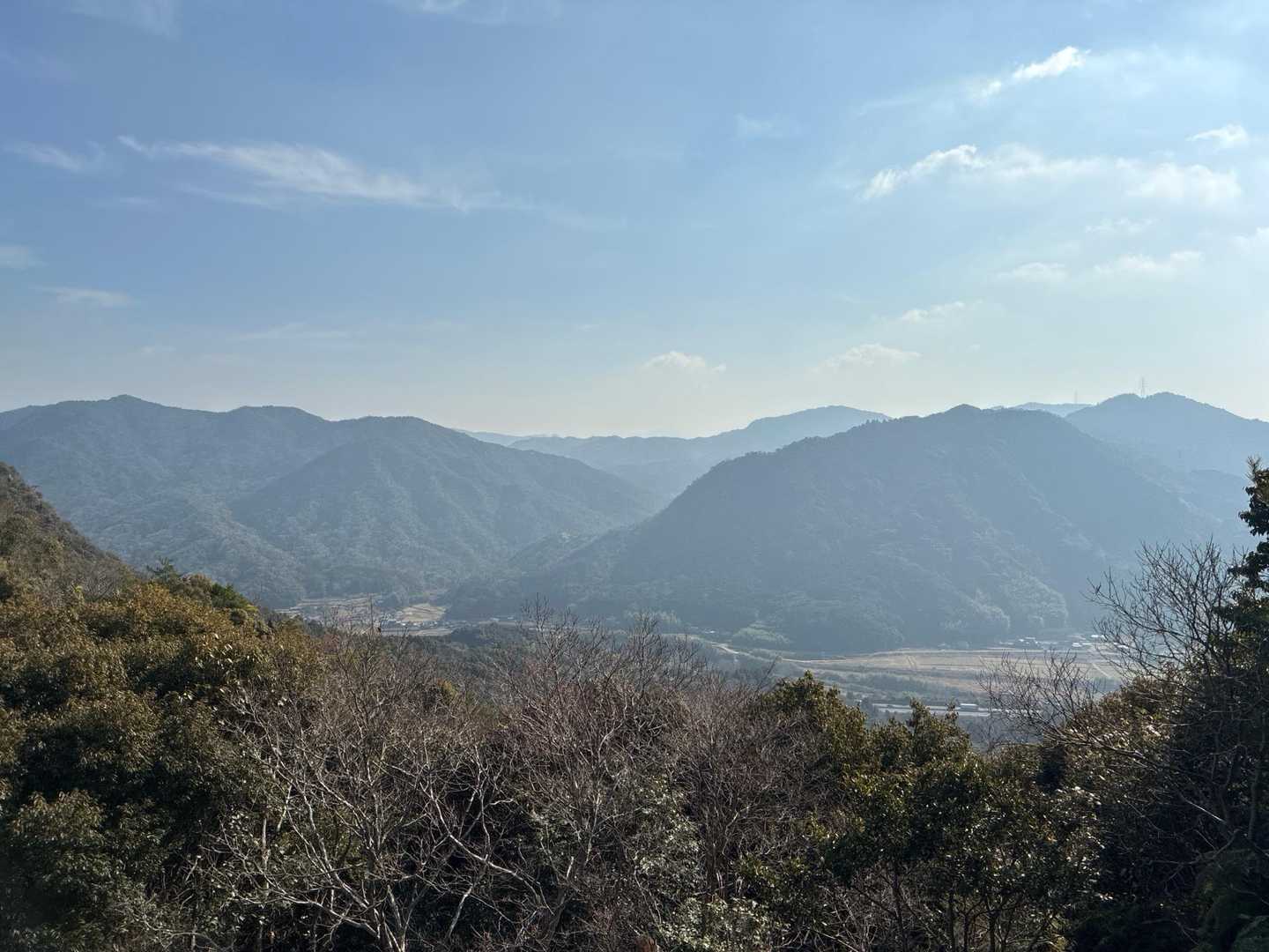 電波塔からの展望