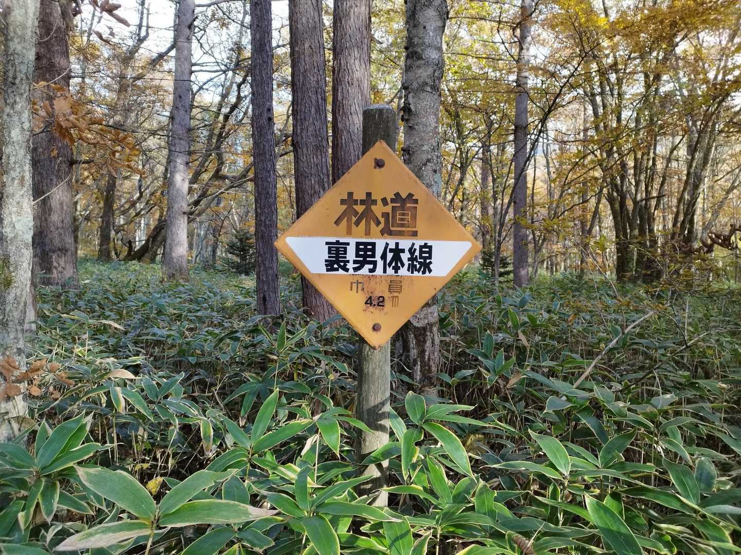 二荒山神社-男体山-志津峠-梵字飯場跡-三本松バス停 縦走コースの写真