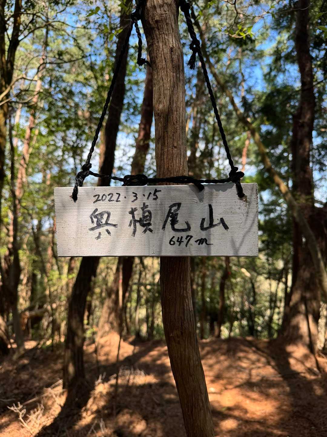 施福寺-槇尾山バス停 縦走コースの写真