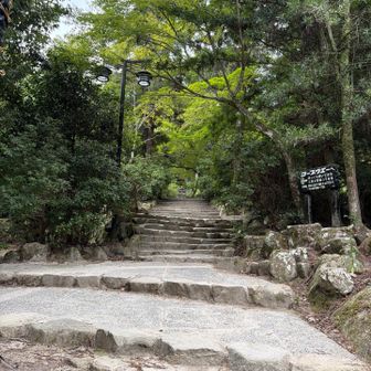 はい、ここから始まります🤣
いきなり階段！そして、この先も階段！😂
弥山、なかなか脚を休ませてくれません🥾💦