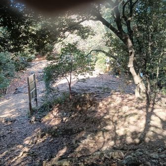 馬の背降りてきた。右は瞑想道登り、左は岐阜公園降り。正面は伊奈波神社旧跡でリスが良く出て来るところ