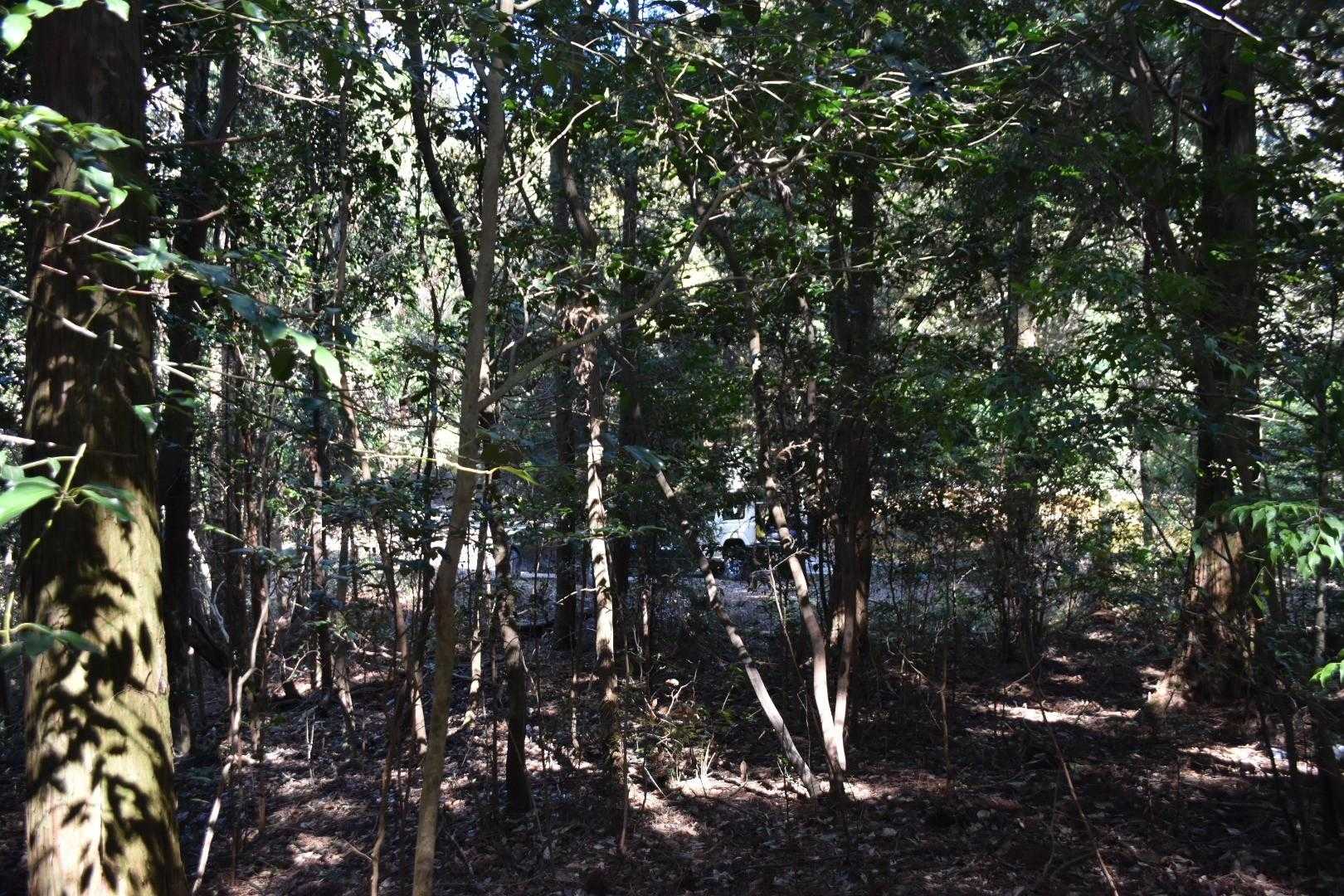 あっ、フィールダーの横にジムニーだ。
登山女子が準備中。

👩:休憩スペースありました？
sho:山頂の先に展望所ありましたよ。
👩:（車のステッカーを見て）カープファン🎏ですか？
sho:ガチファンです😤。

しばしお話…。

👩:もしかして、shoさん？
sho:あっ、はい😮。
👩:tomomiです。
sho:エーッ‼️

１月に土然ヶ丘ですれ違って、その後相互フォローした方でした🤣。
１月はサングラス😎されてたので、顔分からなかったんだよね。