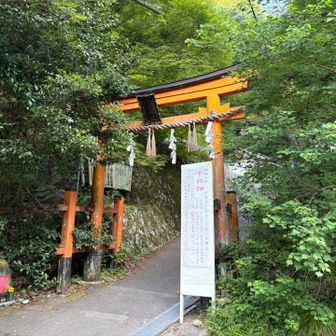 行って来ます〜