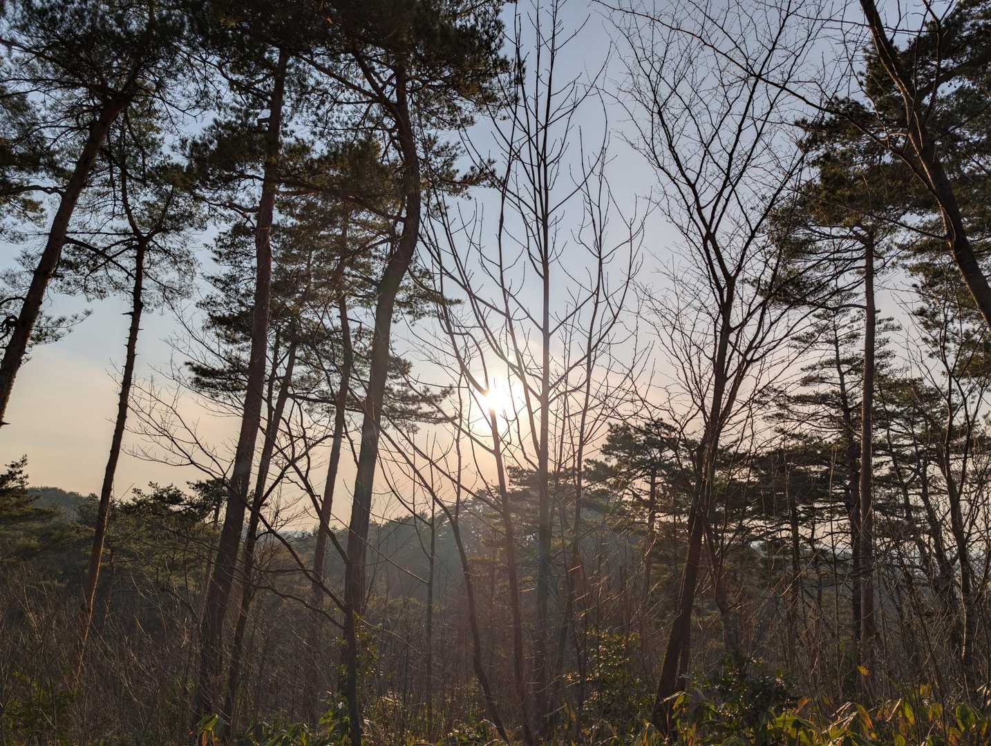 夕ひ✨