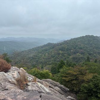 さっき居た東天神嶽