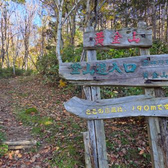 登山道入口、色分けではっきり読み易い