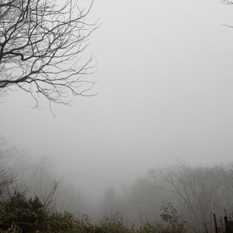 眺望は真っ白で何も見えない