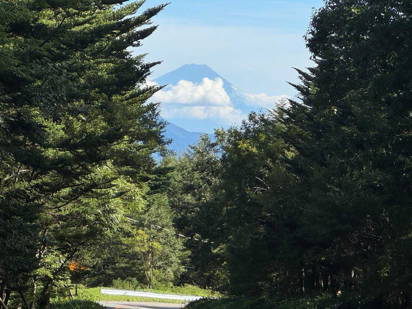 正面に富士山🗻