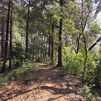 明るくて歩きやすい道