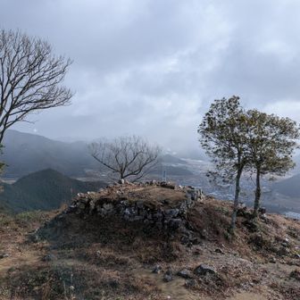 この🌳と城跡、こんな天気もまた乙なもん〜ん？乙と🐍似とる🤭