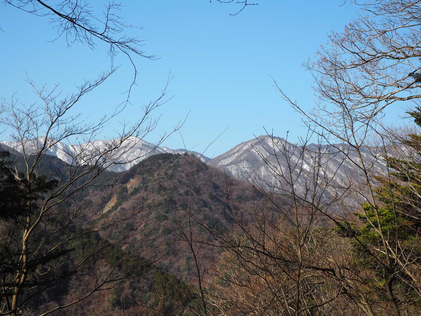 いい景色だ