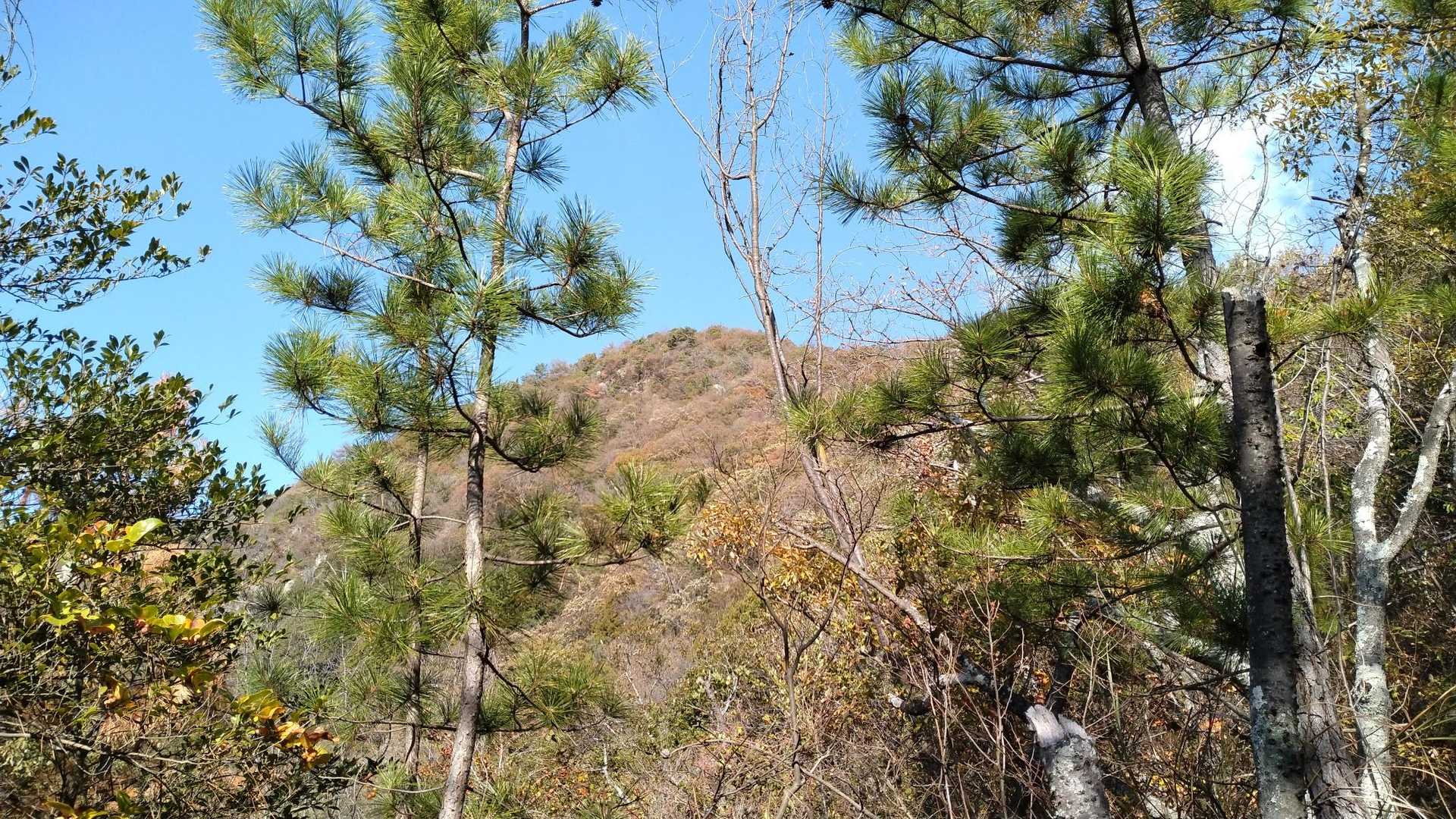古鷹山見えた！とこの時は思ったが目的地はあの奥だったようだ