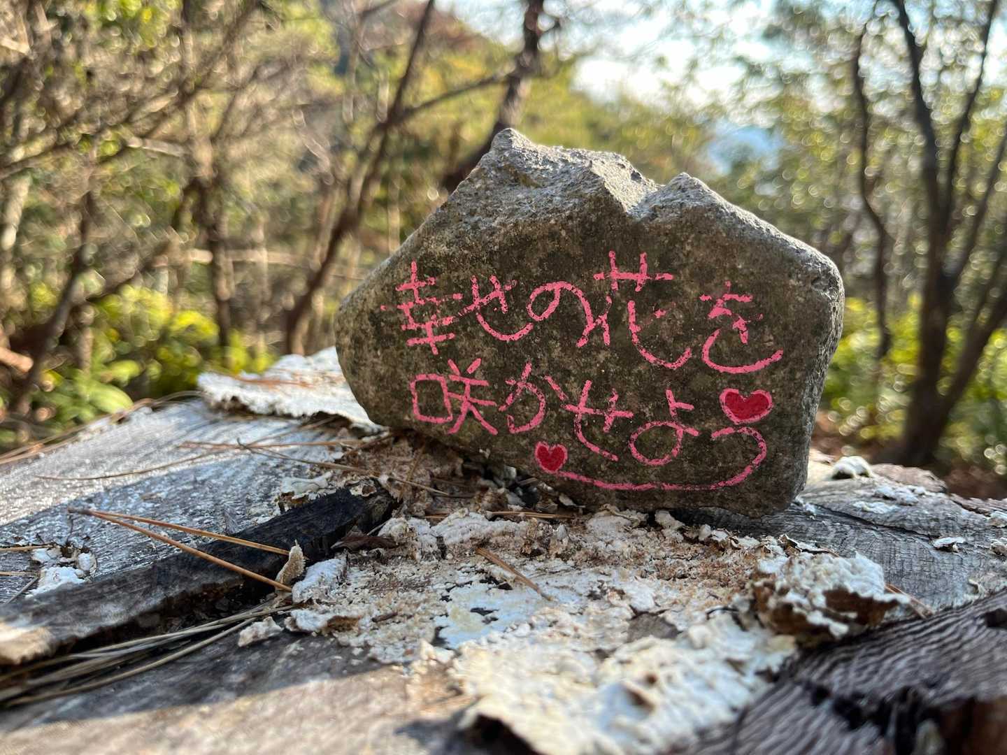 ワロック〜！！心に響くやーん😆