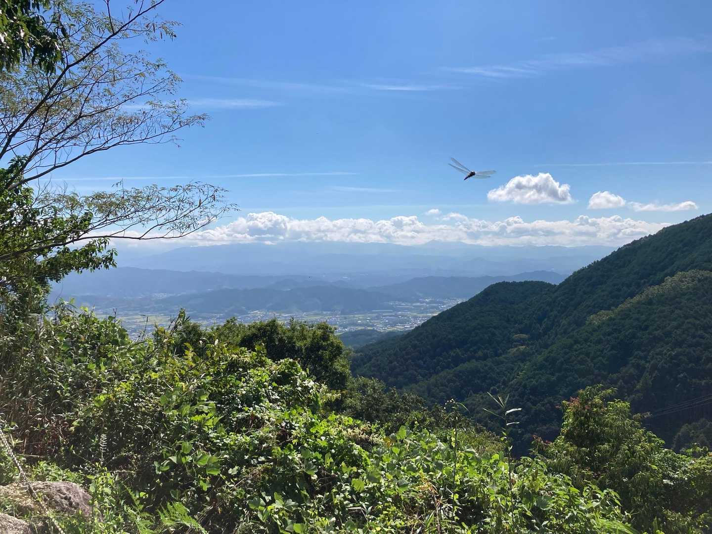 葛城ロープウェイ前バス停-葛城登山口駅-大和葛城山-葛城山 縦走コースの写真