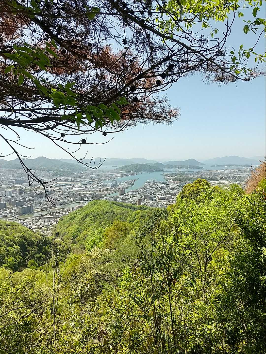 日浦山登山口-日浦山 往復コースの写真