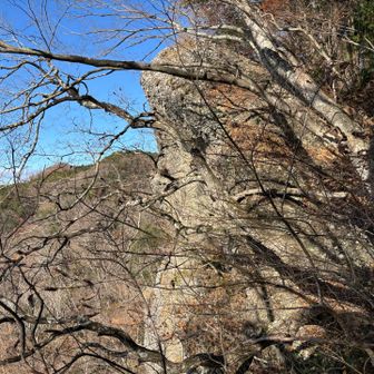 おかめ岩の横顔