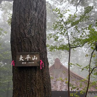 太平山山頂