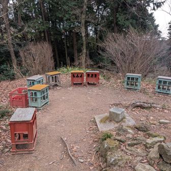 椅子取りゲームできそう