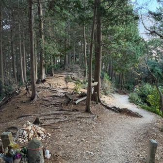 今日は、愛宕神社跡寄らず🙏