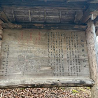 恩賜林なんですね