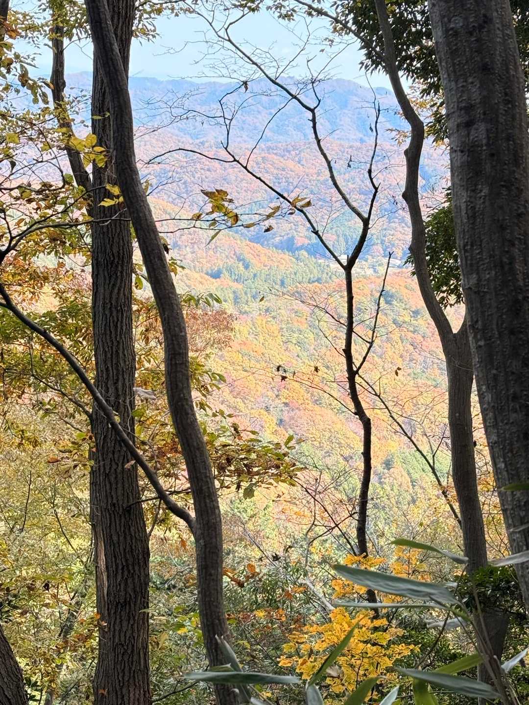 🍁してる山並み✨