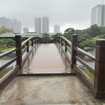 浜離宮恩賜庭園view