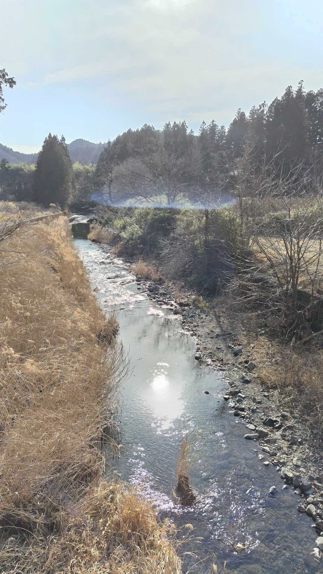 風雨雷山-笹目倉山 往復コースの写真