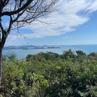 山頂からの景色